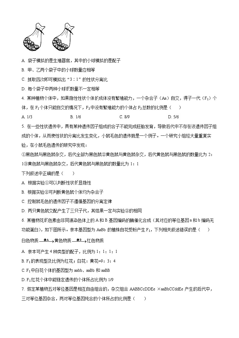 甘肃省武威市天祝一中、民勤一中2023-2024学年高一下学期3月月考生物试卷（Word版附解析）02
