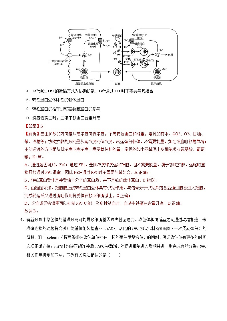 2024年高考第二次模拟考试：生物（浙江卷）（解析版）03