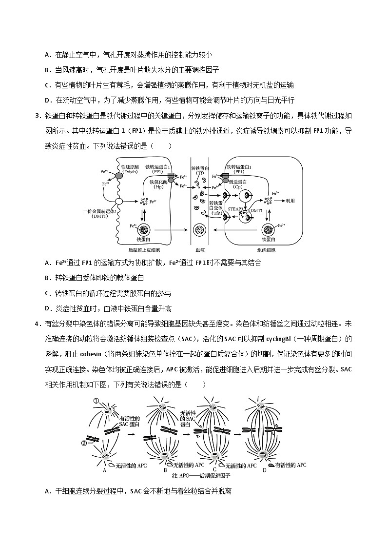 2024年高考第二次模拟考试：生物（浙江卷）（考试版）02
