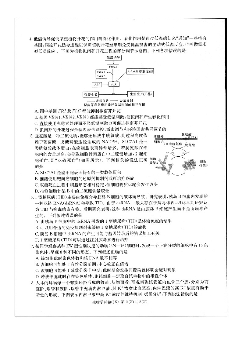 2024届新高考教学教研联盟高三第二次联考试卷生物第2页