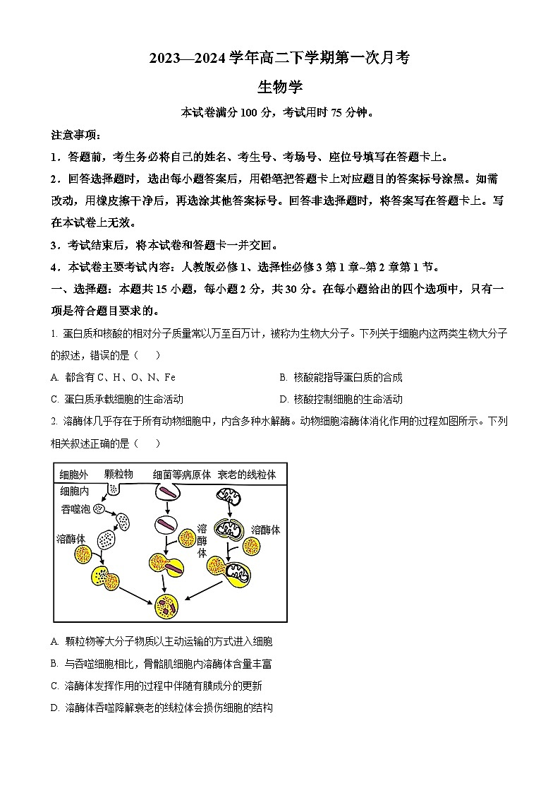 2024河南省创新发展联盟高二下学期3月月考试题生物含解析01