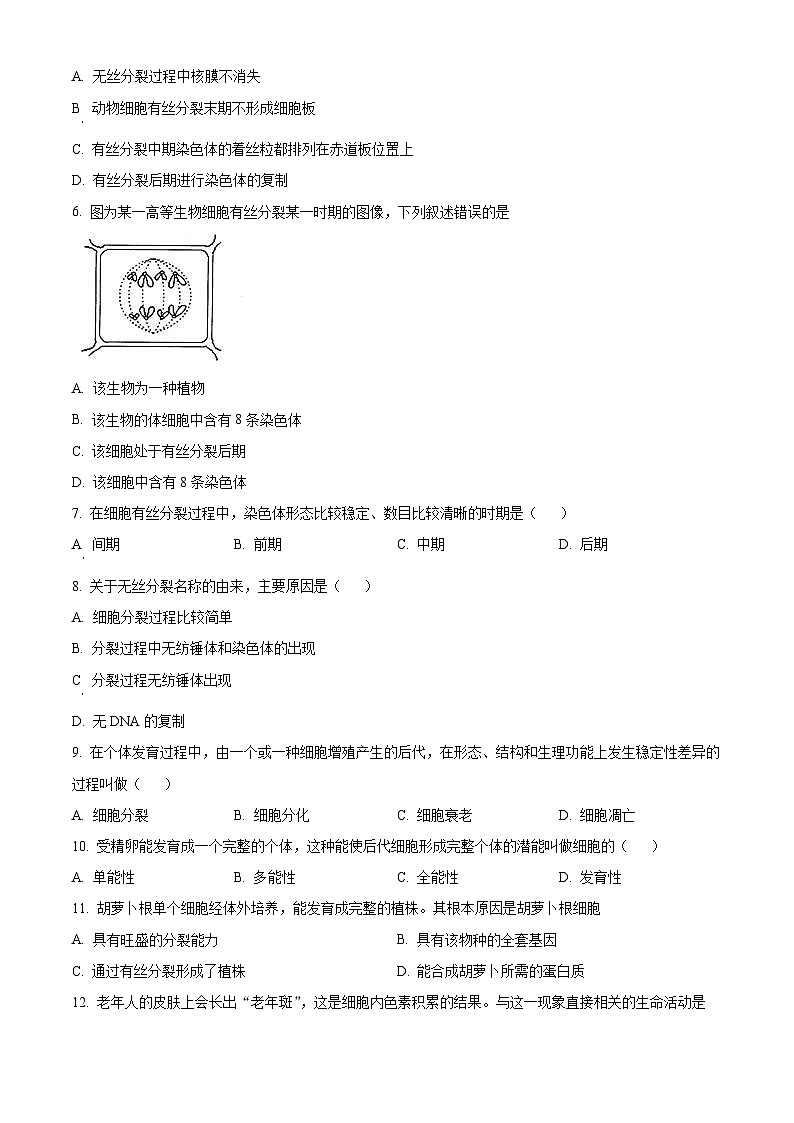 2024蚌埠禹泽汉兴友谊联考高一下学期4月月考试题生物含解析02