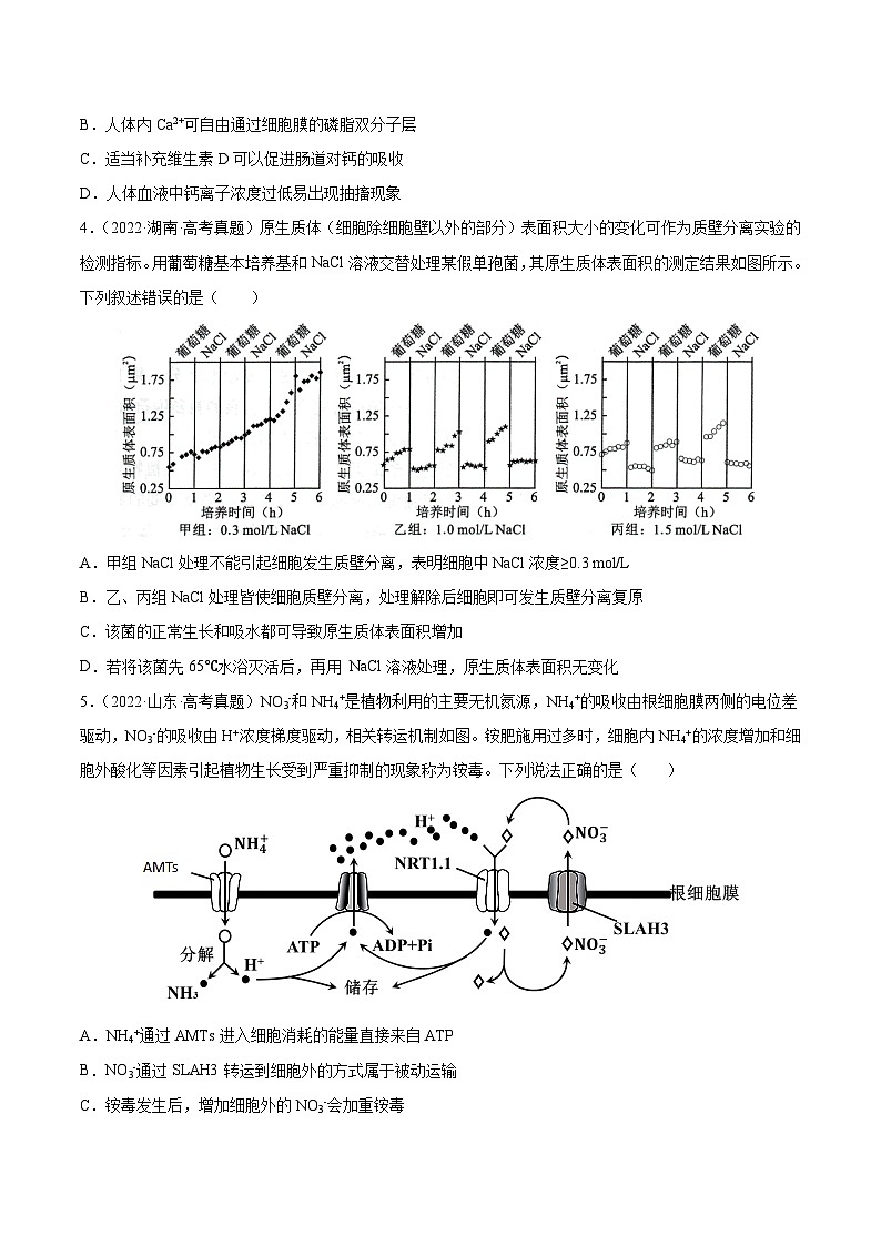 专题02 细胞的物质运输、酶与ATP-十年（2013-2022）高考生物真题分项汇编（全国通用）02