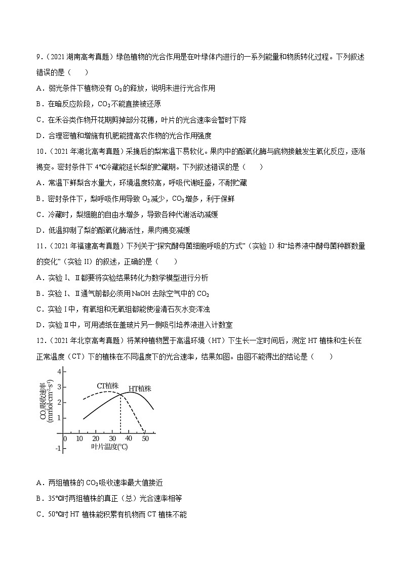 专题03 光合作用和细胞呼吸-十年（2013-2022）高考生物真题分项汇编（全国通用）03