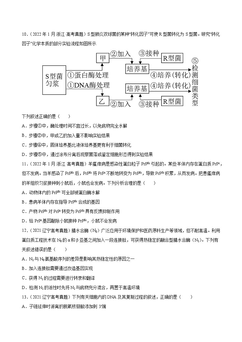专题05 遗传的分子基础-十年（2013-2022）高考生物真题分项汇编（全国通用）（学生版）第3页