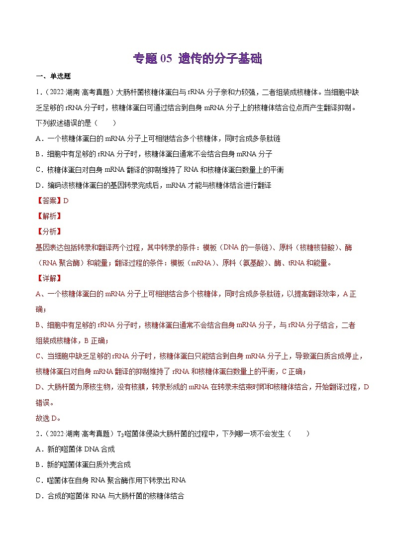 专题05 遗传的分子基础-十年（2013-2022）高考生物真题分项汇编（全国通用）（解析版）第1页