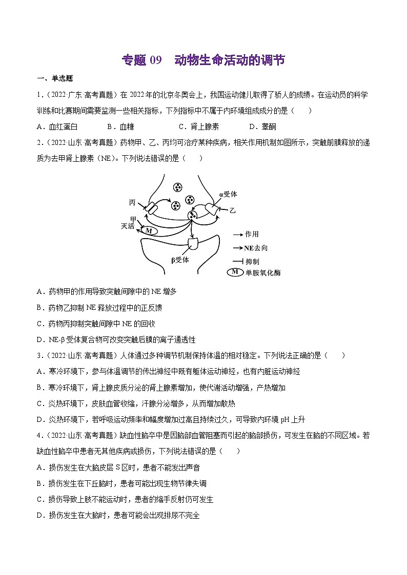 专题09 动物生命活动的调节-十年（2013-2022）高考生物真题分项汇编（全国通用）（学生版）第1页