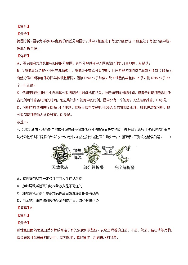 专题15 实验与探究-十年（2013-2022）高考生物真题分项汇编（全国通用）（解析版）第3页