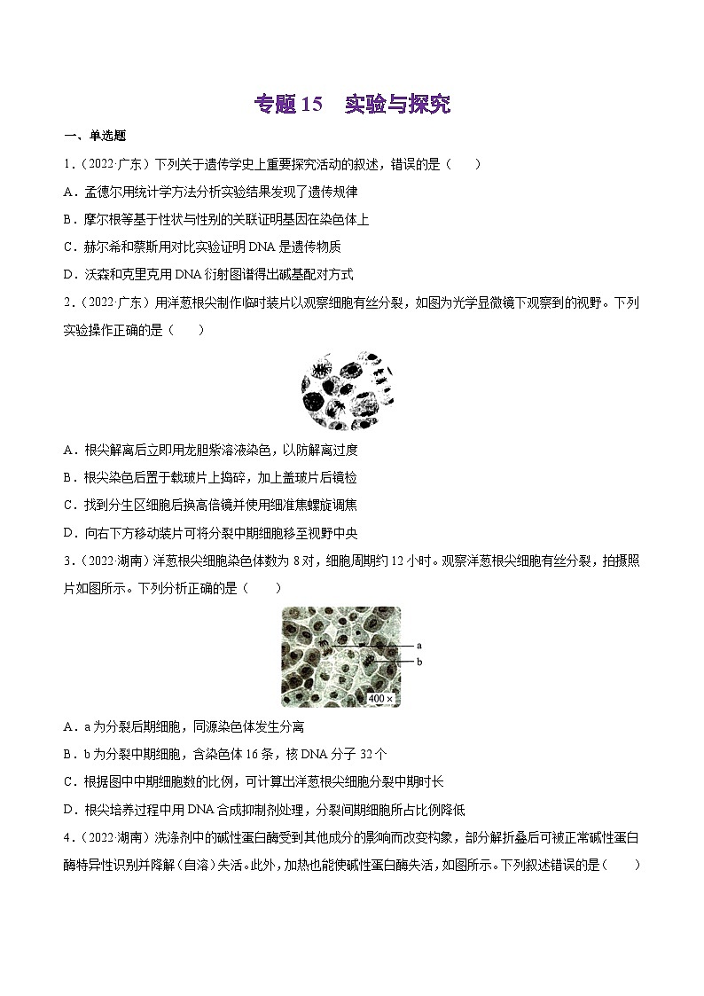 专题15 实验与探究-十年（2013-2022）高考生物真题分项汇编（全国通用）（学生版）第1页