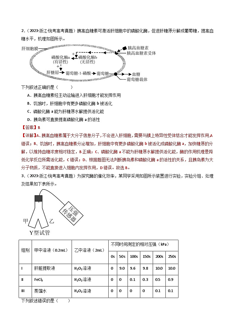 专题04 酶和ATP- 十年（2014-2023）高考生物真题分项汇编（全国通用）02
