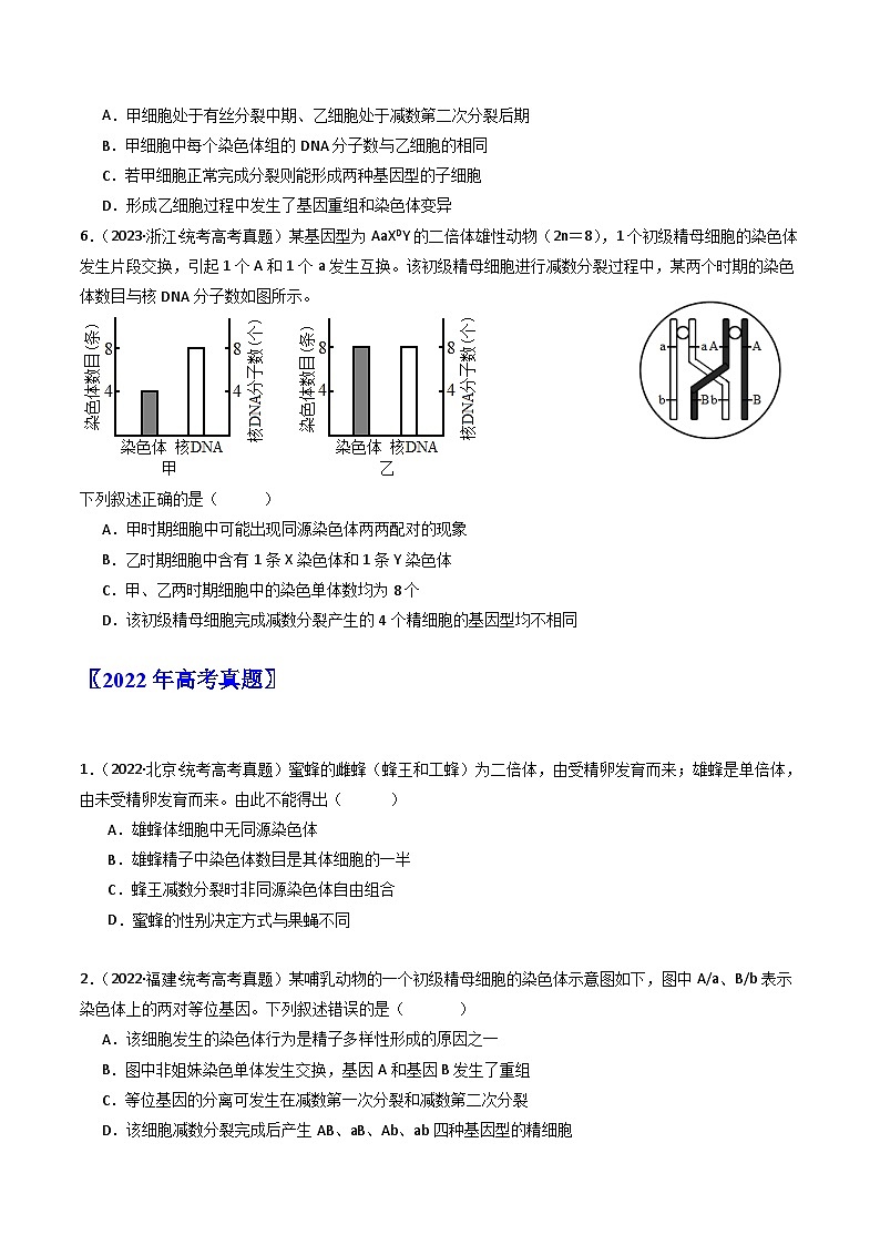 专题08 有丝分裂和减数分裂- 十年（2014-2023）高考生物真题分项汇编（全国通用）03