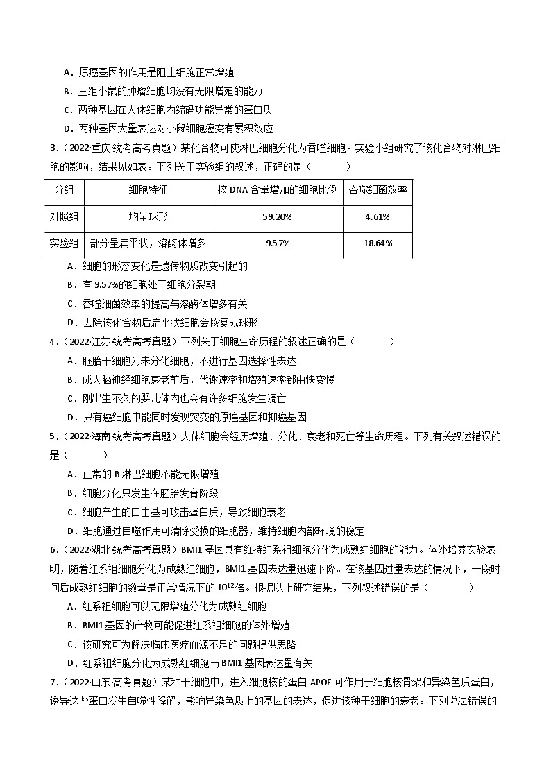 专题09 细胞的分化、衰老、凋亡及癌变（原卷版）第3页