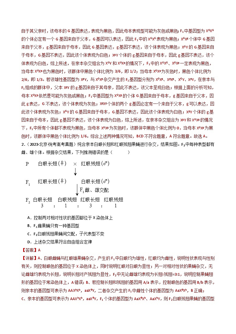 专题13 伴性遗传和人类遗传病- 十年（2014-2023）高考生物真题分项汇编（全国通用）02