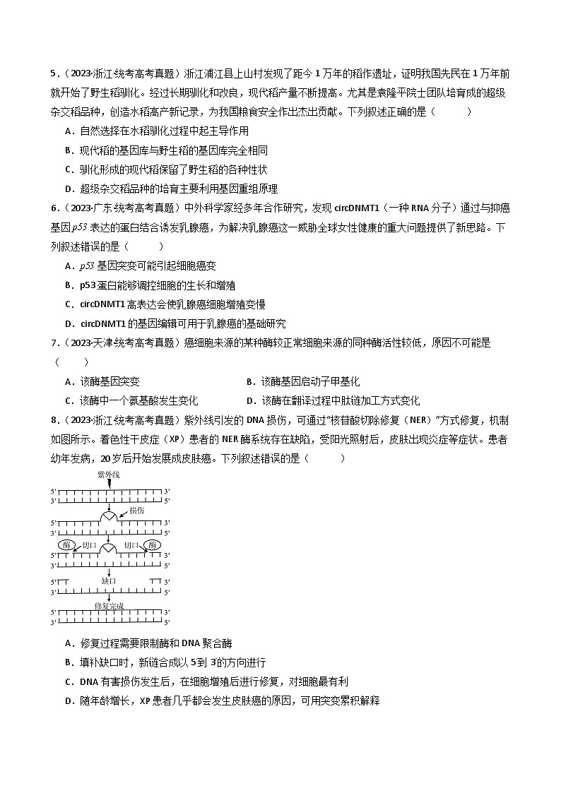 专题14 变异、育种与进化- 十年（2014-2023）高考生物真题分项汇编（全国通用）03
