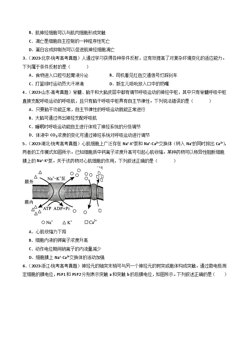 专题17 神经调节- 十年（2014-2023）高考生物真题分项汇编（全国通用）02