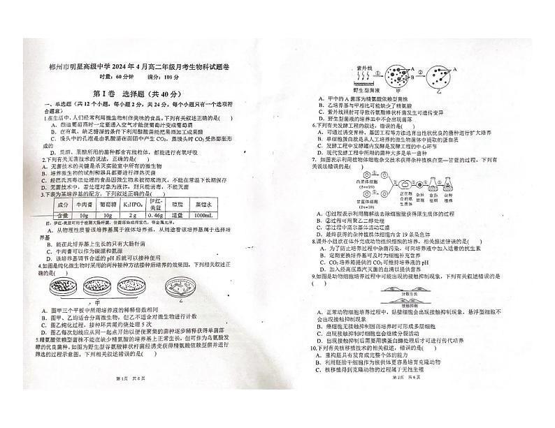 湖南省郴州市北湖区郴州市明星学校2023-2024学年高二下学期4月月考生物试题01
