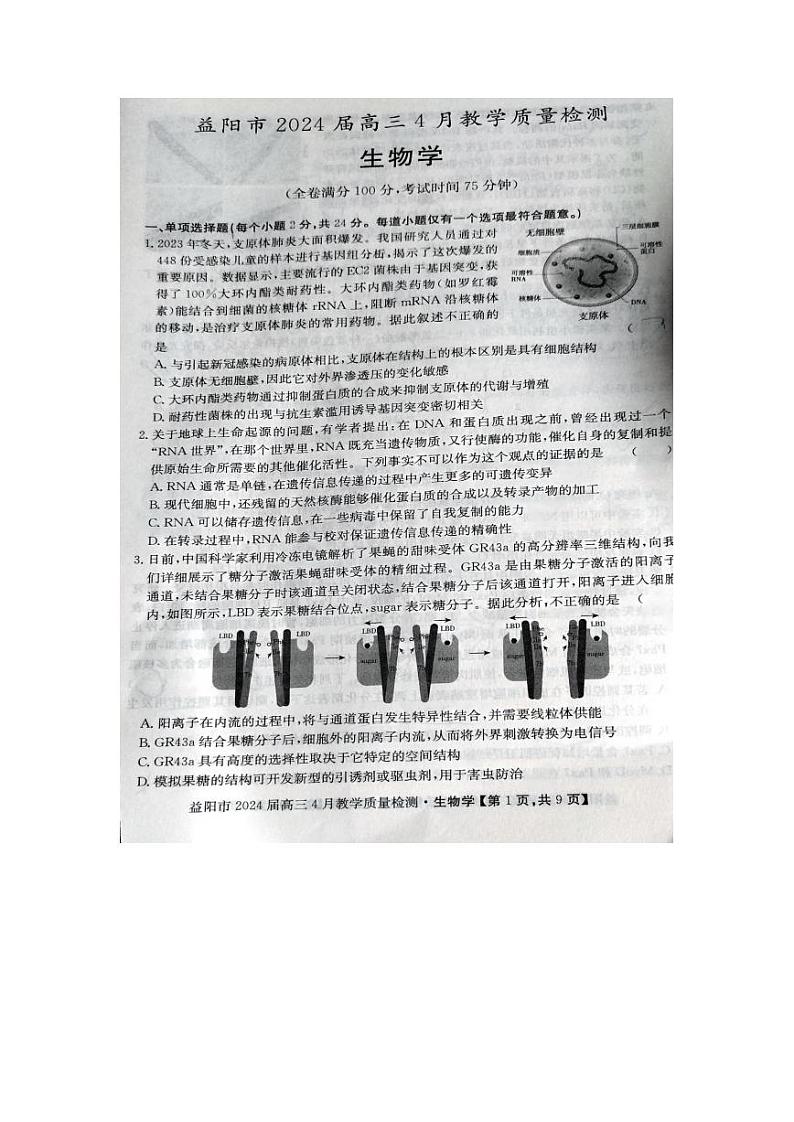 湖南省益阳市2024届高三下学期4月三模考试生物试卷（PDF版附解析）01