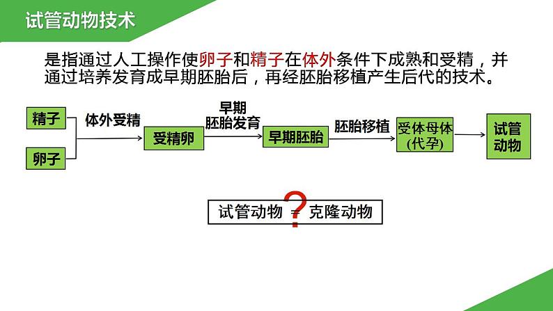 2023-2024学年苏教版（2019）选择性必修3 2.4.2 体外受精及胚胎移植技术 课件第5页