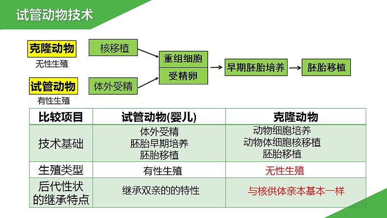 2023-2024学年苏教版（2019）选择性必修3 2.4.2 体外受精及胚胎移植技术 课件第6页