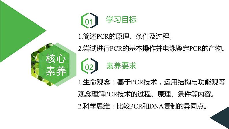 2023-2024学年苏教版（2019）选择性必修3 3.1.2 PCR技术和利用PCR技术扩增DNA片段并完成电泳鉴定 课件02