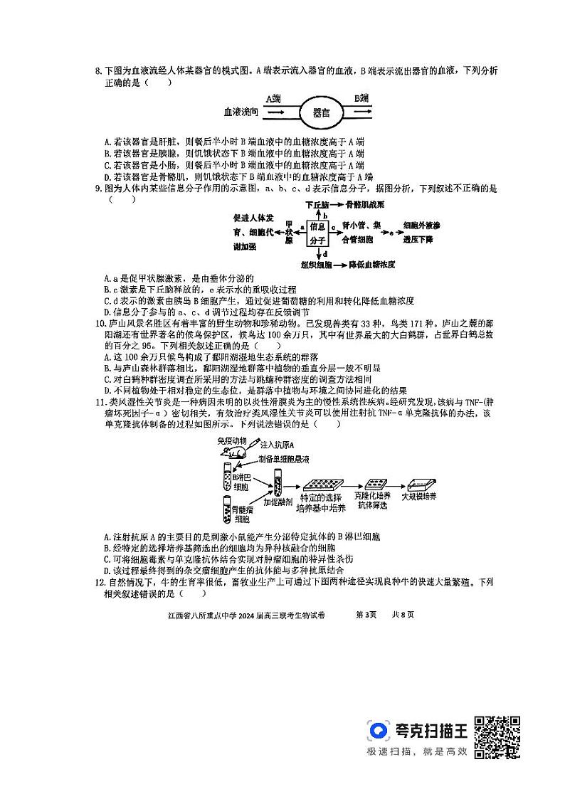 江西省八所重点中学2024届高三下学期4月联考试题 生物 PDF版含解析03
