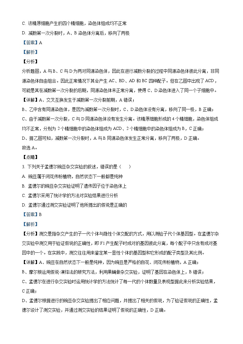 福建省厦门市思明区第六中学2023-2024学年高一下学期4月月考生物试题（解析版）第2页