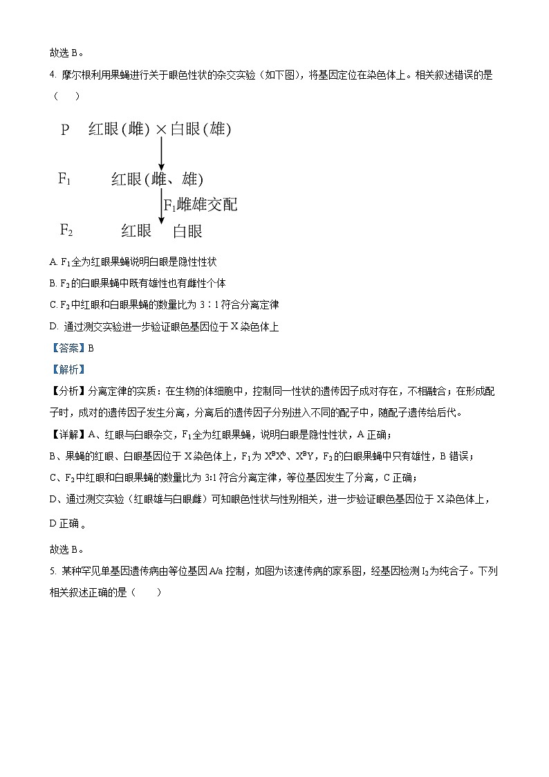 福建省厦门市思明区第六中学2023-2024学年高一下学期4月月考生物试题（解析版）第3页