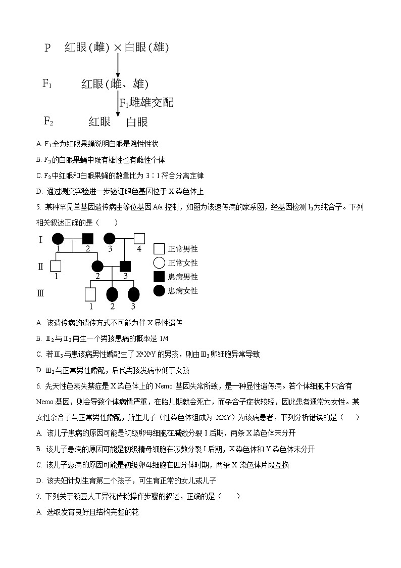 福建省厦门市思明区第六中学2023-2024学年高一下学期4月月考生物试题（原卷版）第2页
