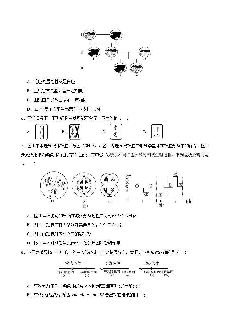 重庆市乌江新高考协作体2023-2024学年高一下学期4月月考生物试卷（Word版附答案）02