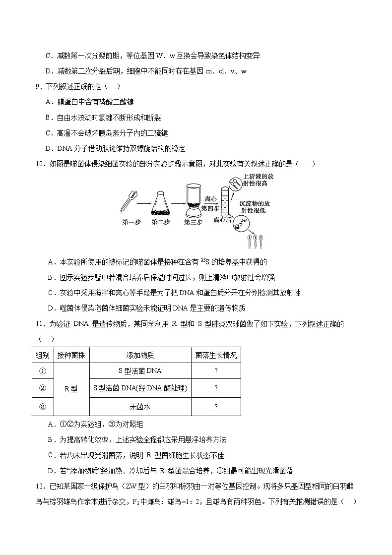 重庆市乌江新高考协作体2023-2024学年高一下学期4月月考生物试卷（Word版附答案）03