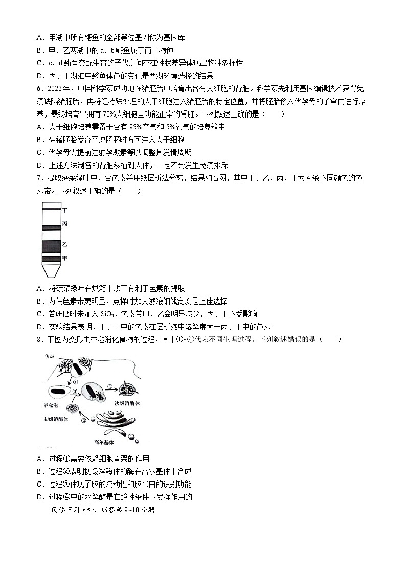 2024届浙江省绍兴市高三下学期4月适应性考试生物试卷第2页