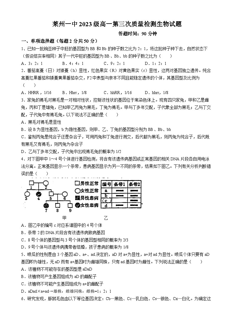 山东省烟台市莱州市第一中学2023-2024学年高一下学期3月月考生物试题01
