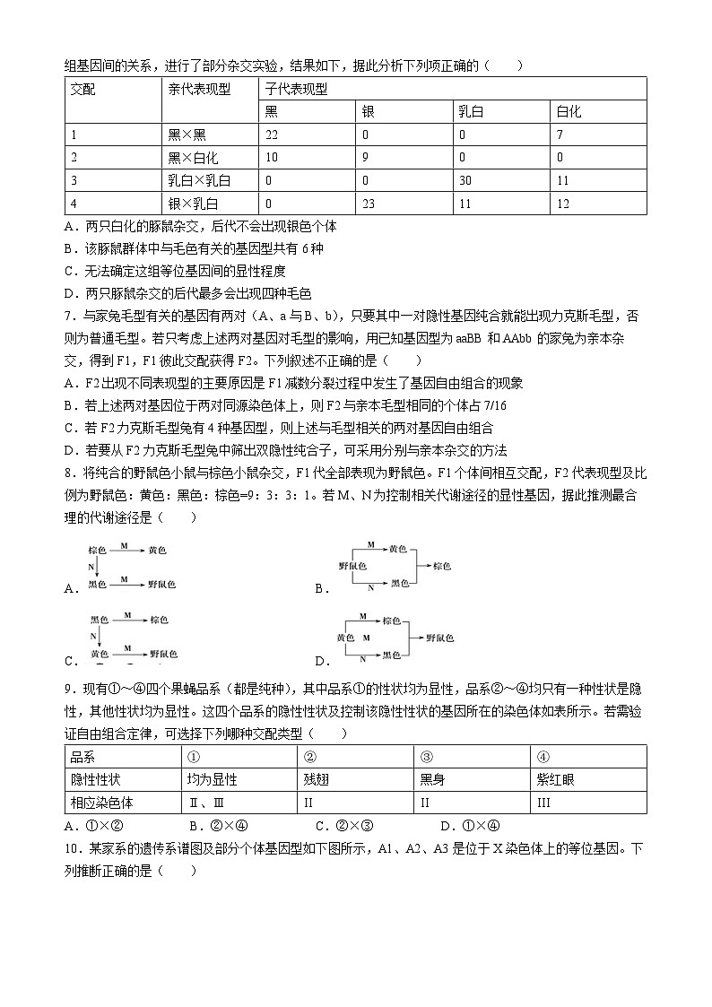 山东省烟台市莱州市第一中学2023-2024学年高一下学期3月月考生物试题02