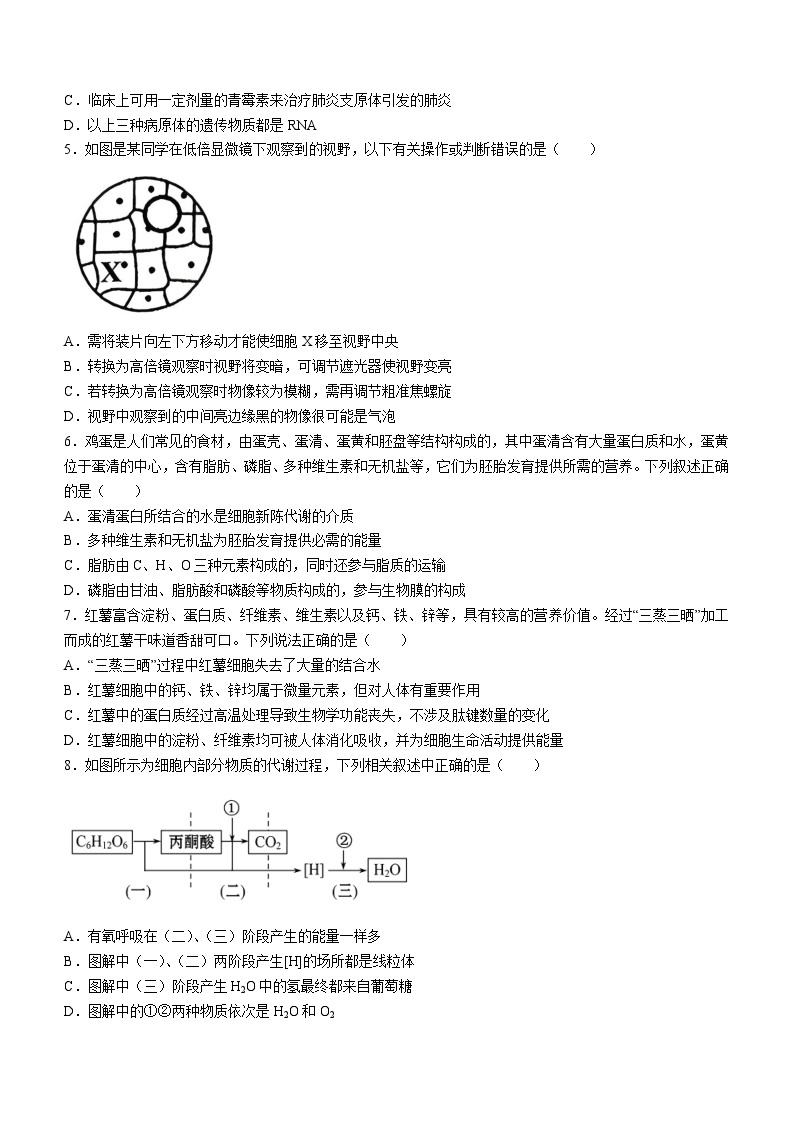 四川省成都市金牛区成都外国语学校2023-2024学年高二下学期3月月考生物试题02