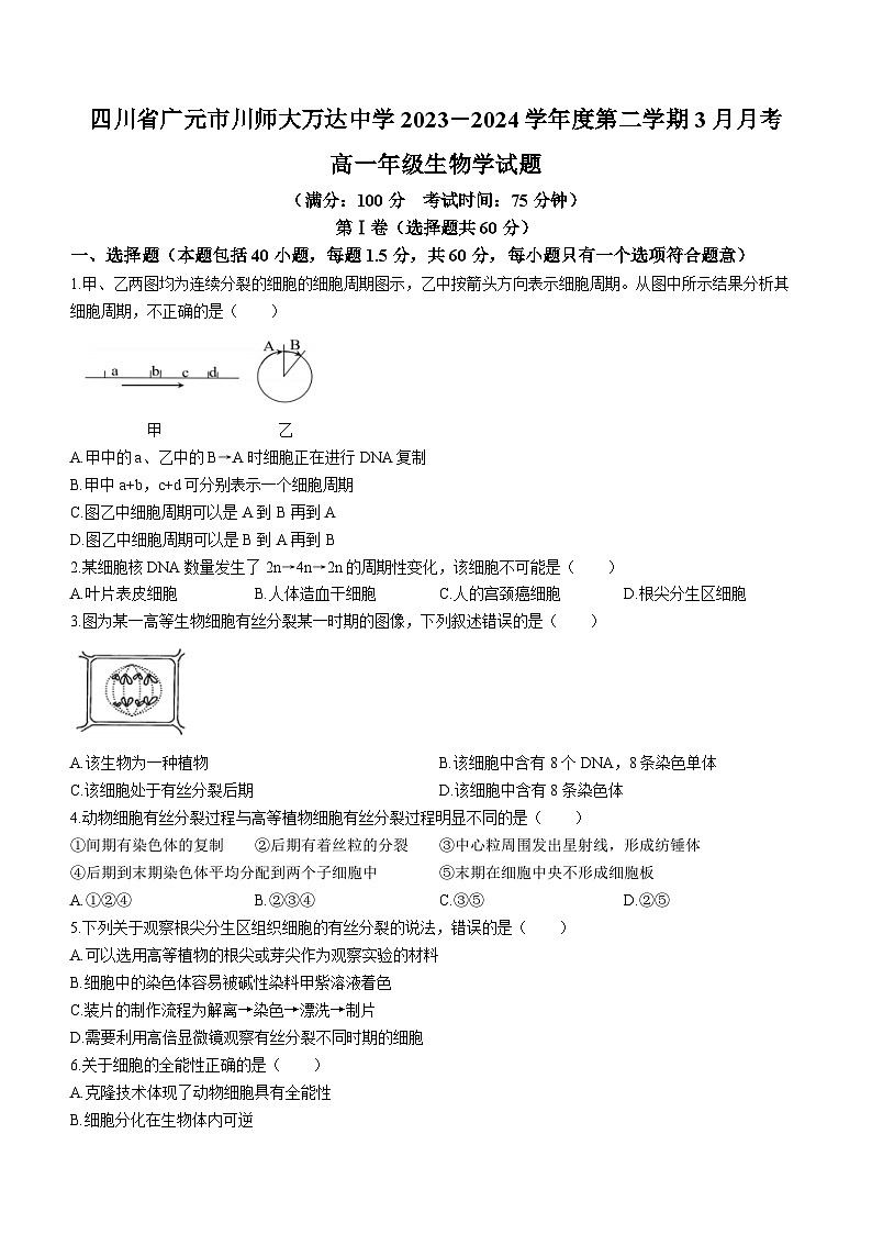 四川省广元市川师大万达中学2023-2024学年高一下学期3月月考生物试题第1页
