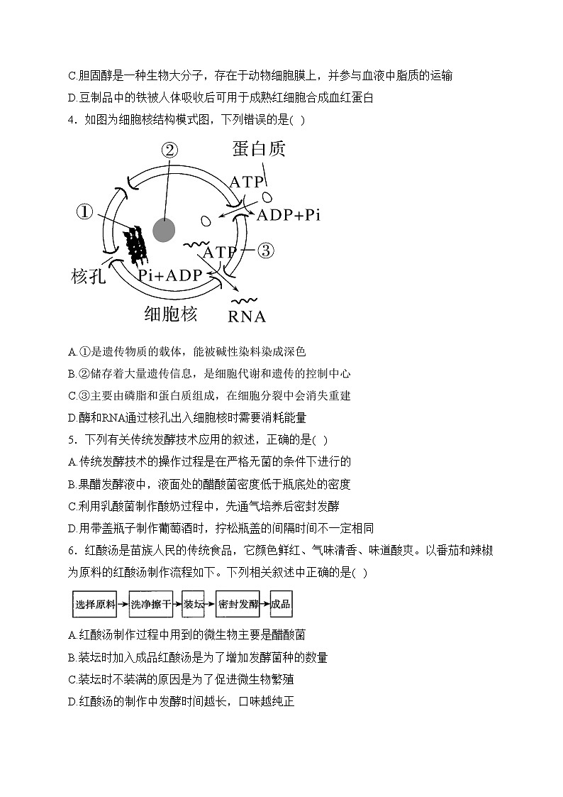 福建省厦门市双十中学2022-2023学年高二下学期期中生物试卷(含答案)02