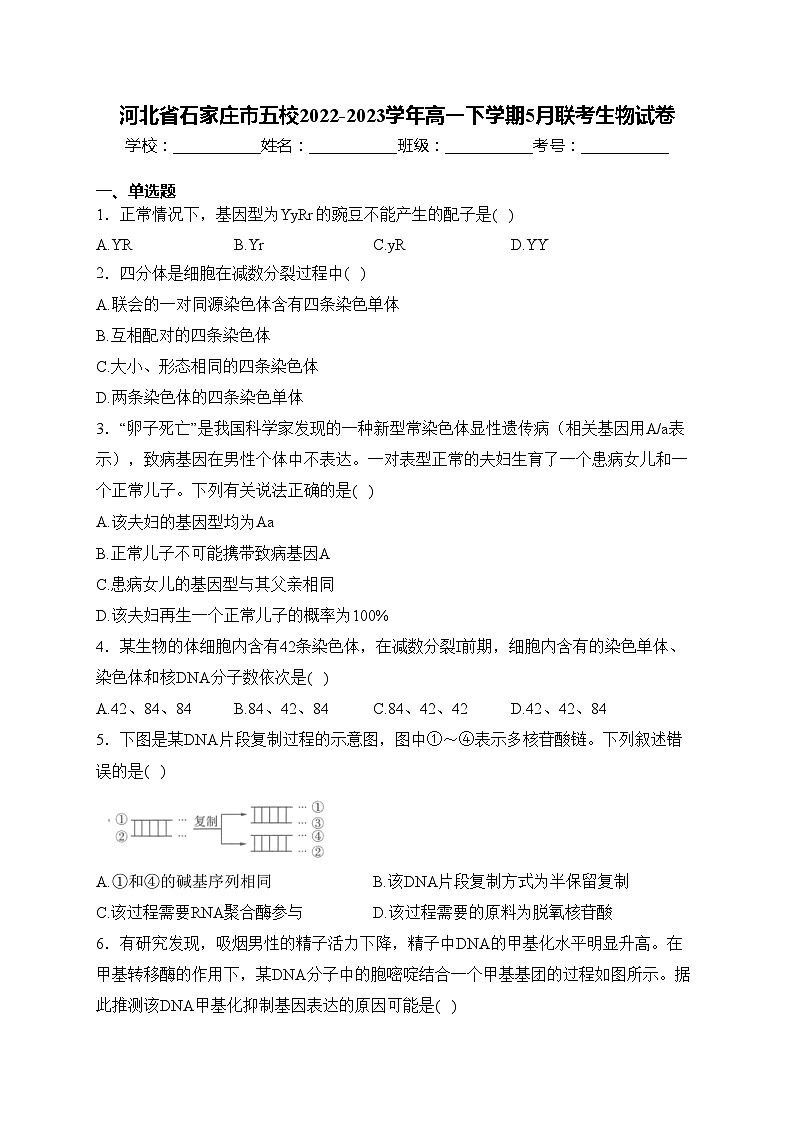 河北省石家庄市五校2022-2023学年高一下学期5月联考生物试卷(含答案)第1页