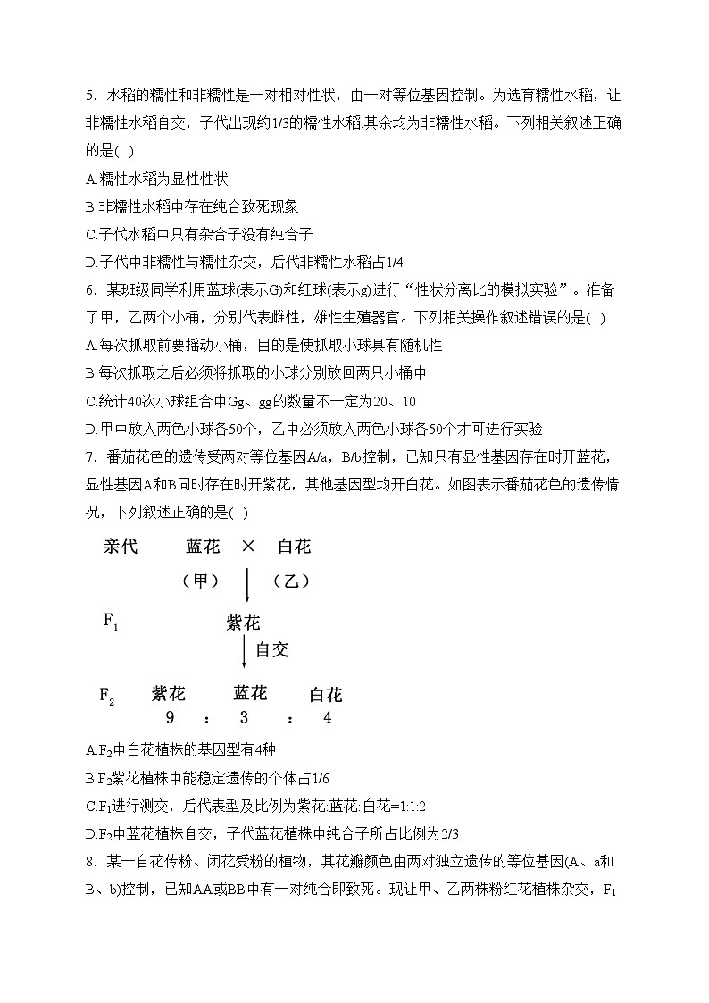 河南省洛阳市强基联盟2023-2024学年高一下学期3月月考生物试卷(含答案)第2页