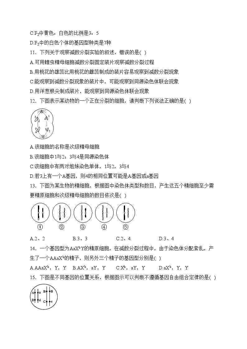 河南省郑州市六校2022-2023学年高一下学期4月期中考试生物试卷(含答案)第3页