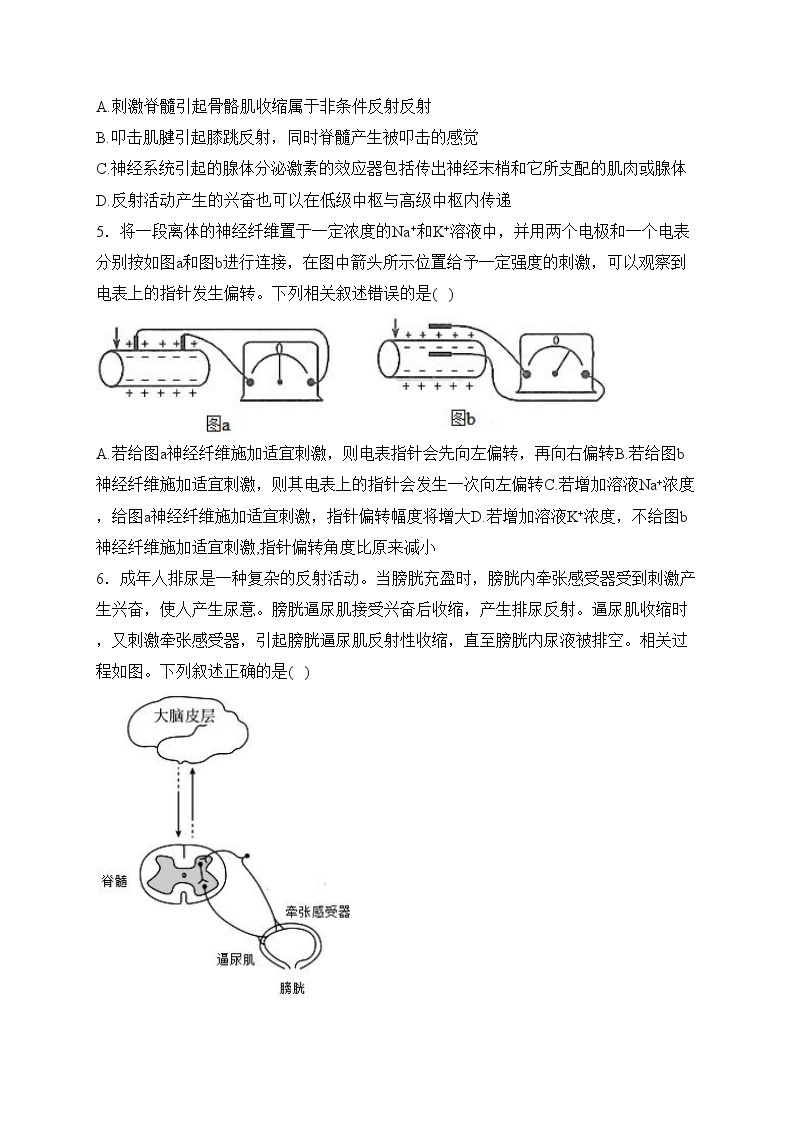 湖北省名校2023-2024学年高二上学期期末考试生物试卷(含答案)02