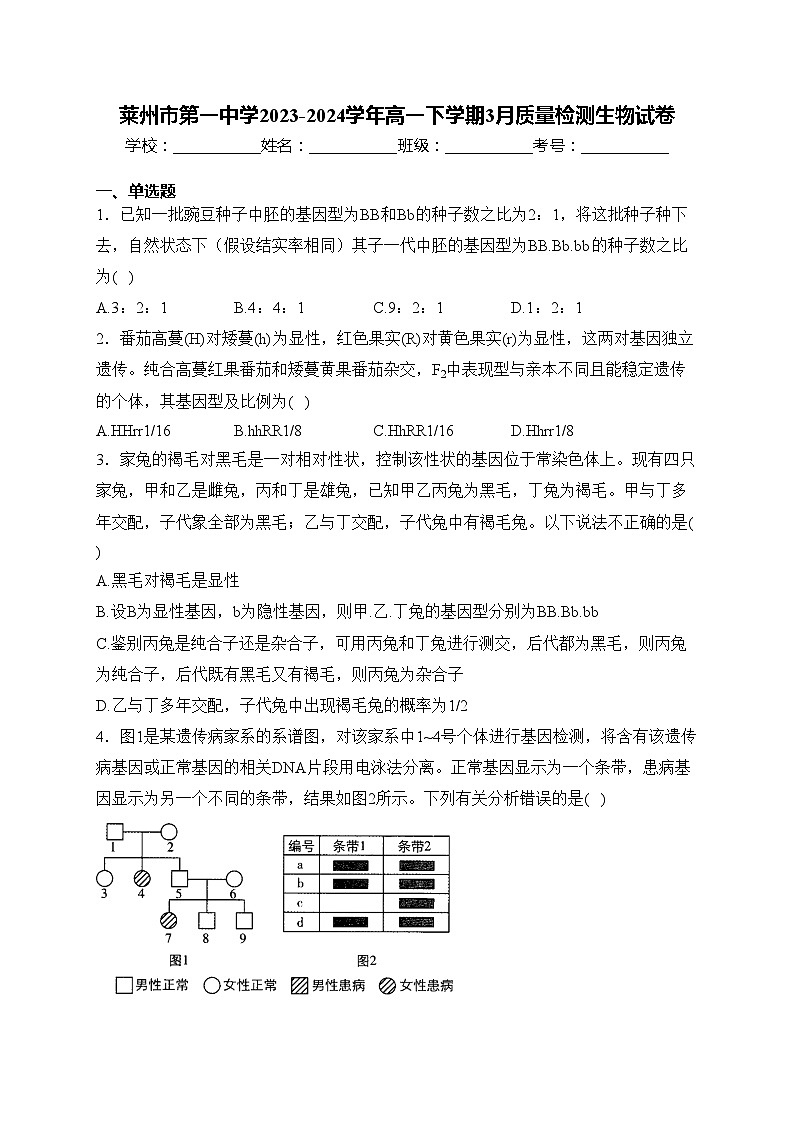 莱州市第一中学2023-2024学年高一下学期3月质量检测生物试卷(含答案)第1页
