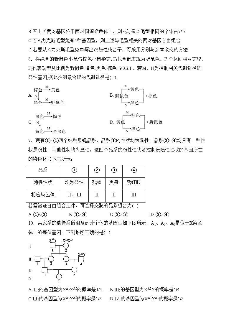 莱州市第一中学2023-2024学年高一下学期3月质量检测生物试卷(含答案)第3页