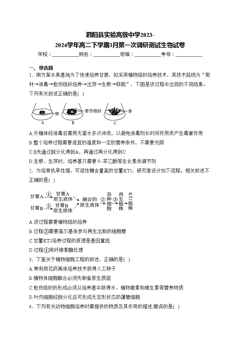 泗阳县实验高级中学2023-2024学年高二下学期3月第一次调研测试生物试卷01