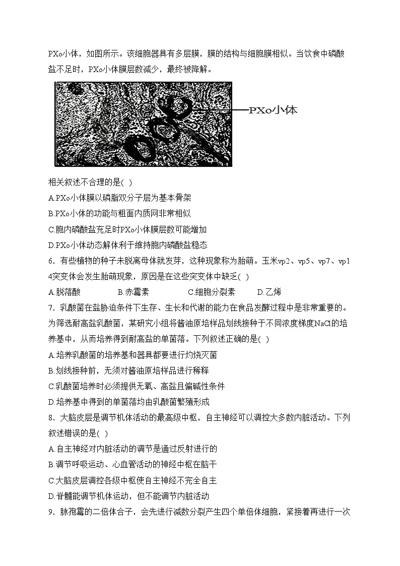 浙江省金华十校2023-2024学年高三下学期4月模拟考试预演生物试卷第2页