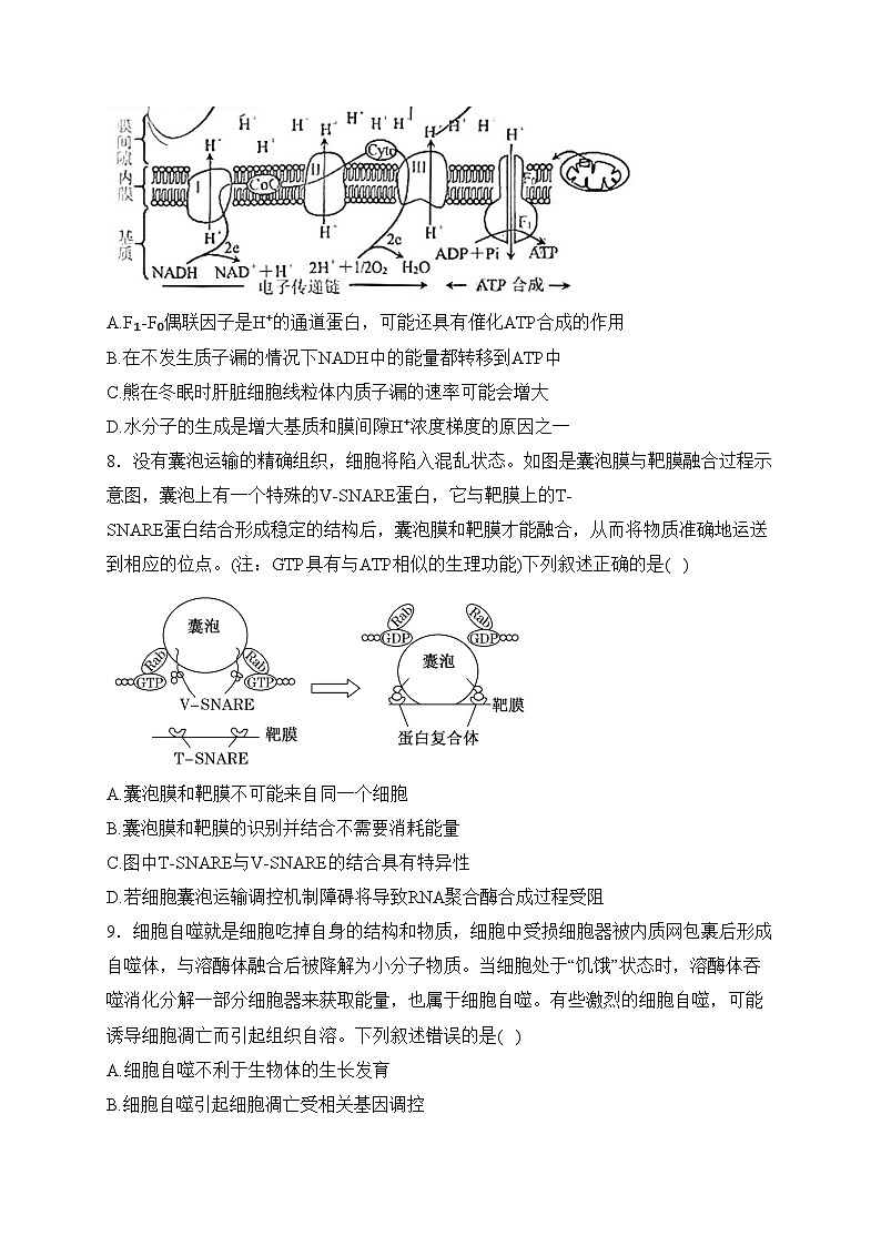 重庆市2024届普通高等学校招生全国统一考试高考模拟调研（二）生物试卷03