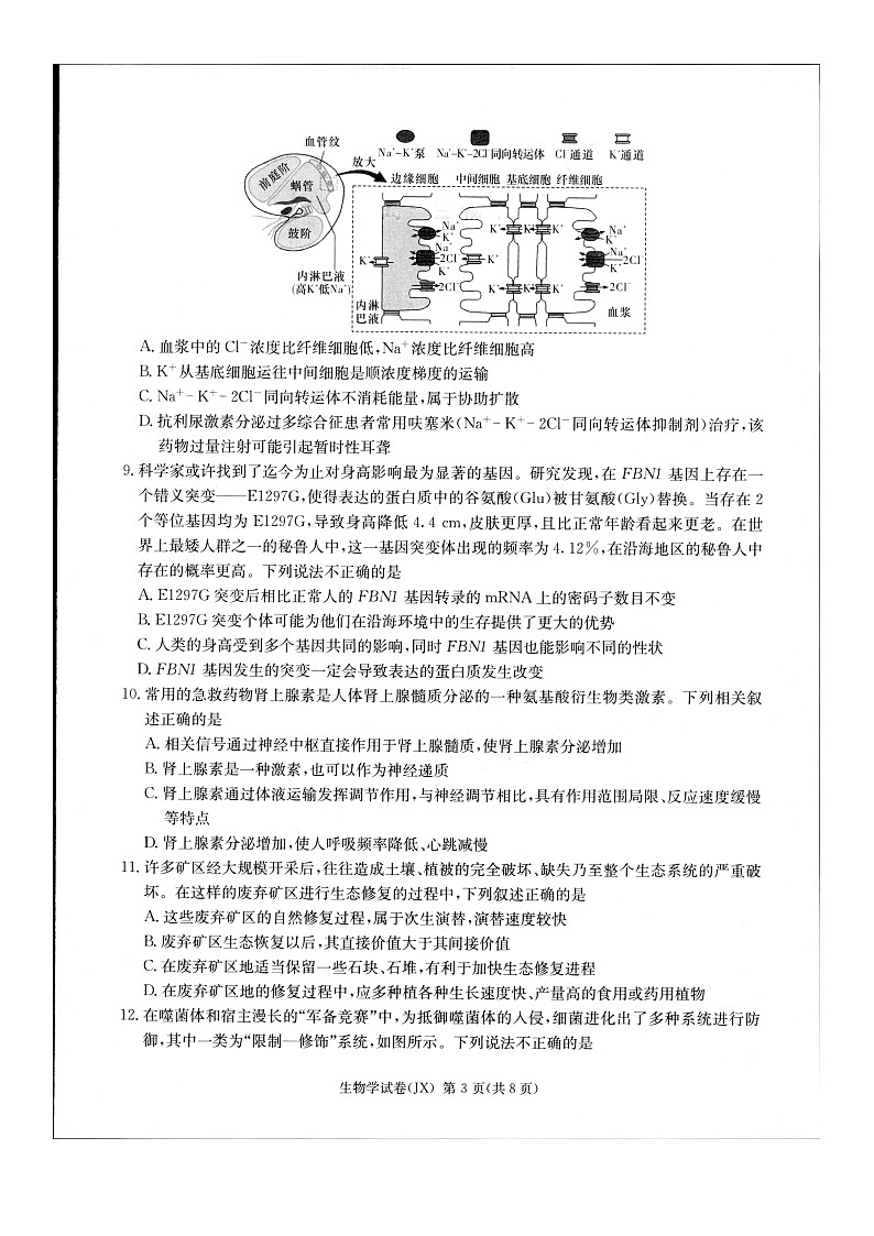 2024届新高考教学教研联盟高三第二次联考试卷生物第3页