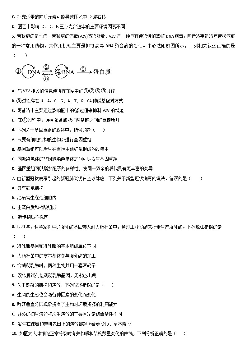 吉林省通化市梅河口市第五中学2024届高三下学期一模试题 生物 Word版含答案02