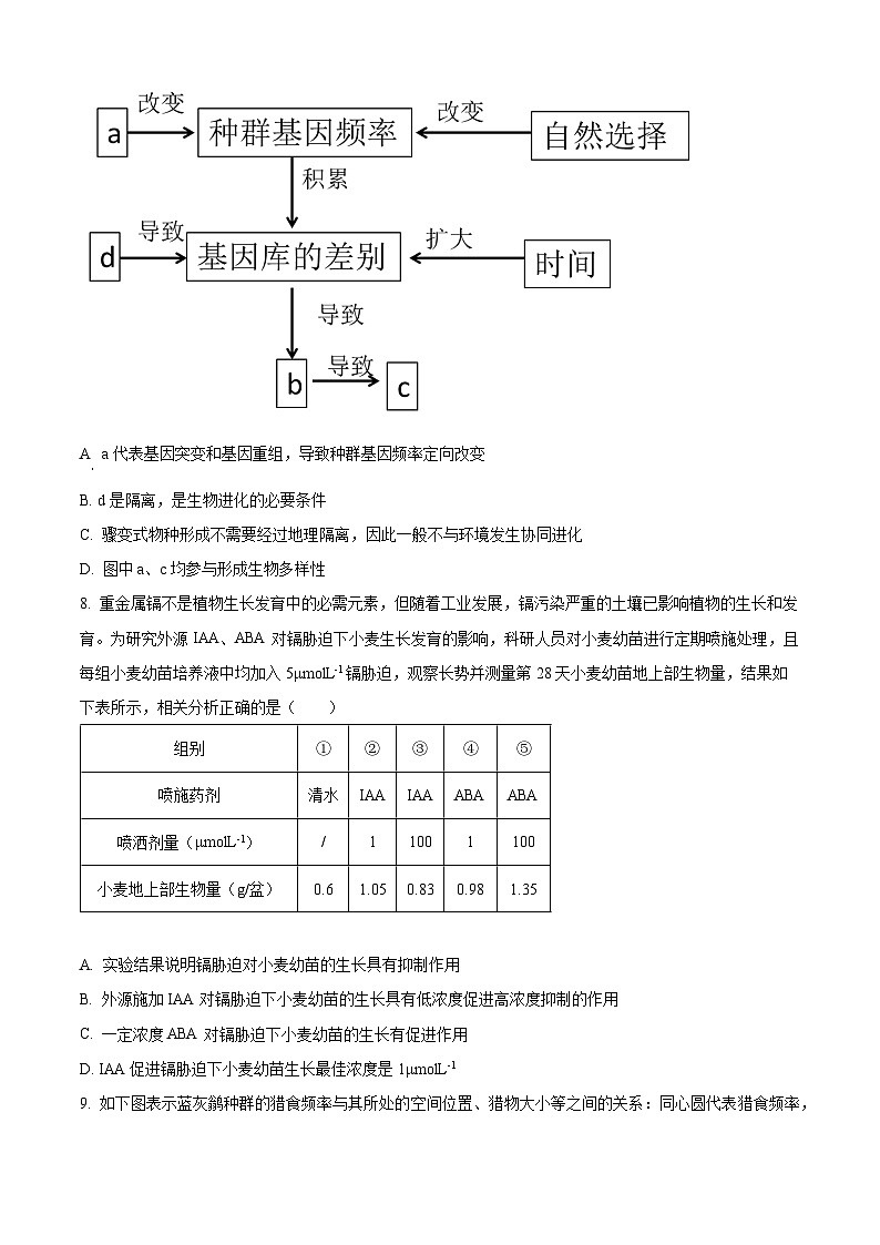河北省衡水市部分高中2024届高三下学期一模试题 生物 Word版含解析03