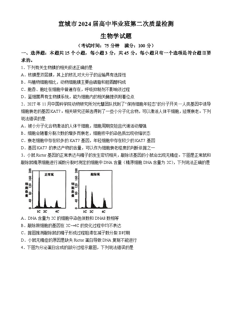 2024届安徽省宣城市、黄山市高三第二次质量检测生物试题01
