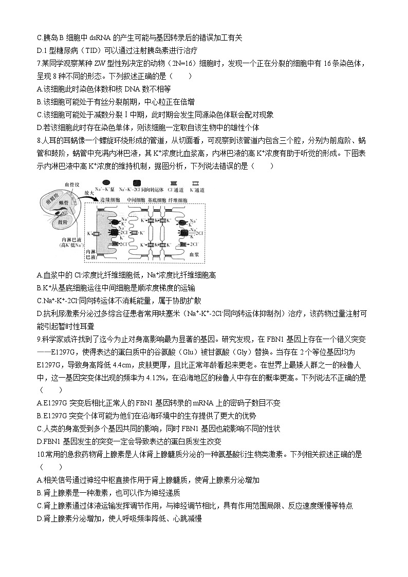 2024届新高考教学教研联盟高三第二次联考生物试卷第3页
